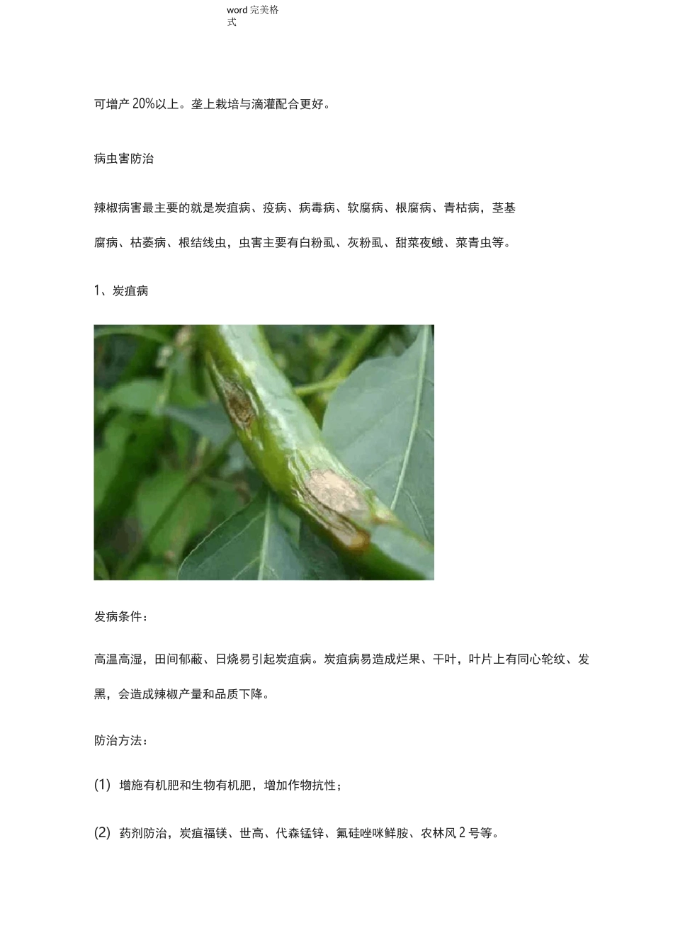 辣椒种植技术(大全)_第3页