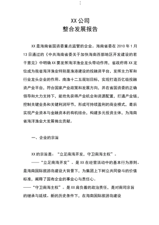 XX公司整合发展可行性报告