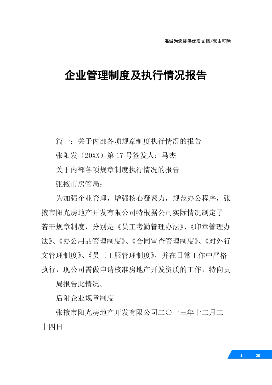 企业管理制度及执行情况报告_第1页