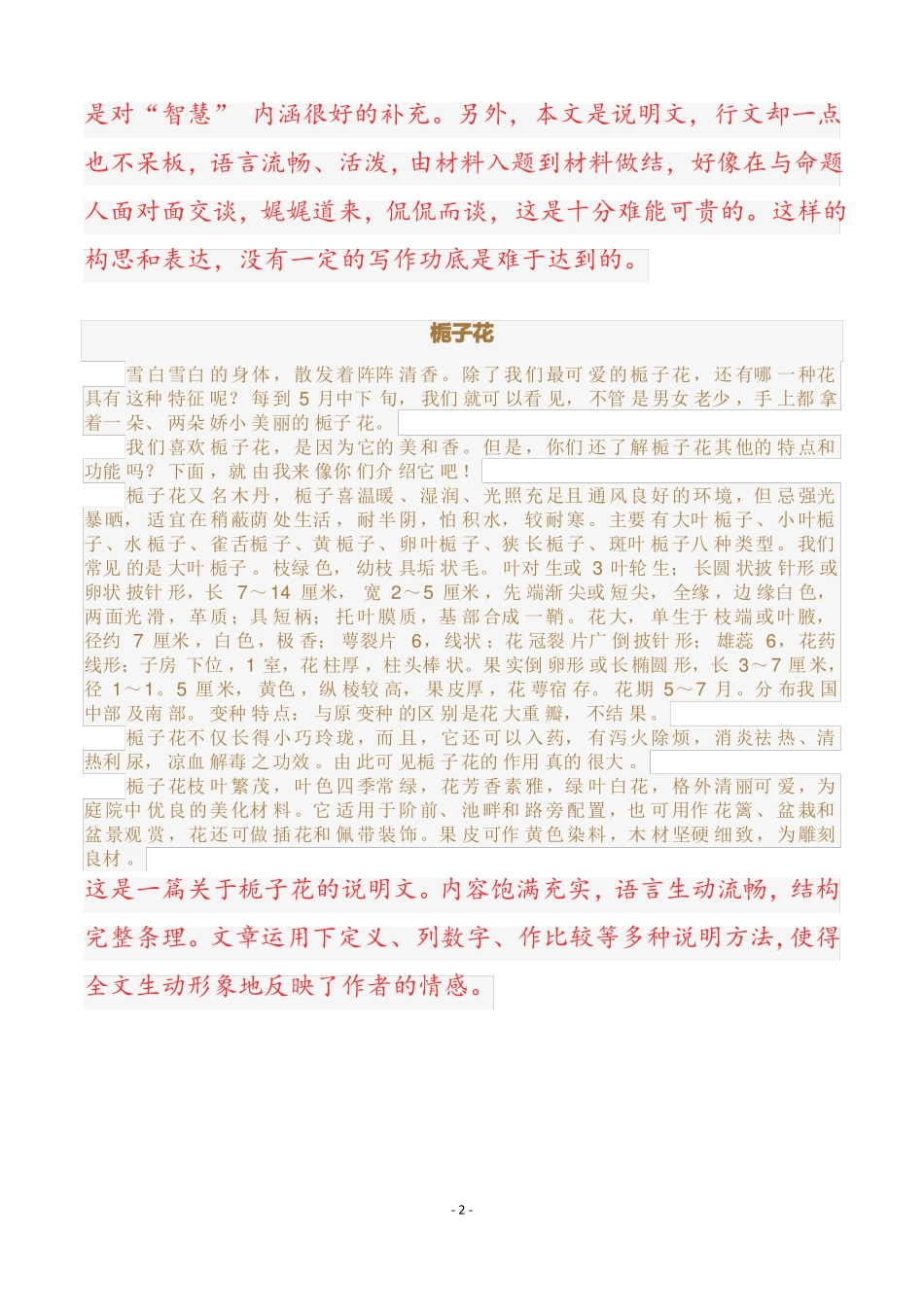 优秀中考作文说明文_第3页