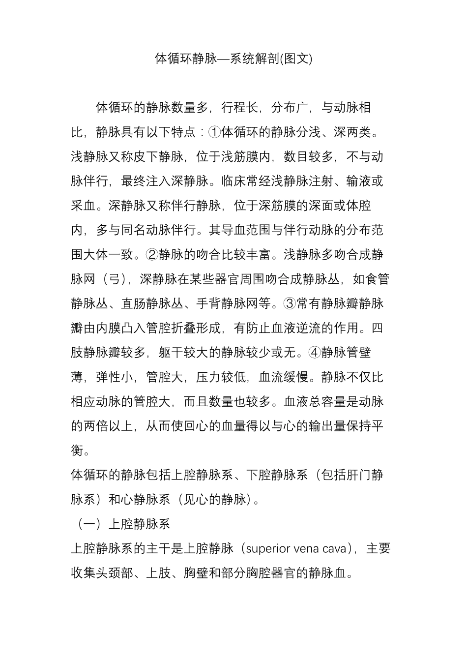 体循环静脉系统解剖图文_第1页