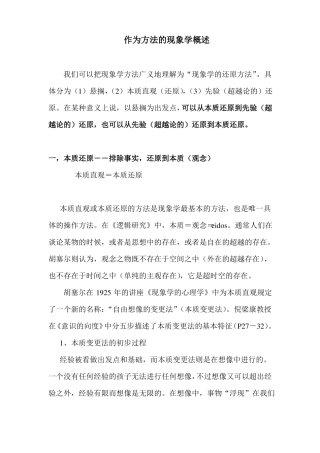 作为方法的现象学概述