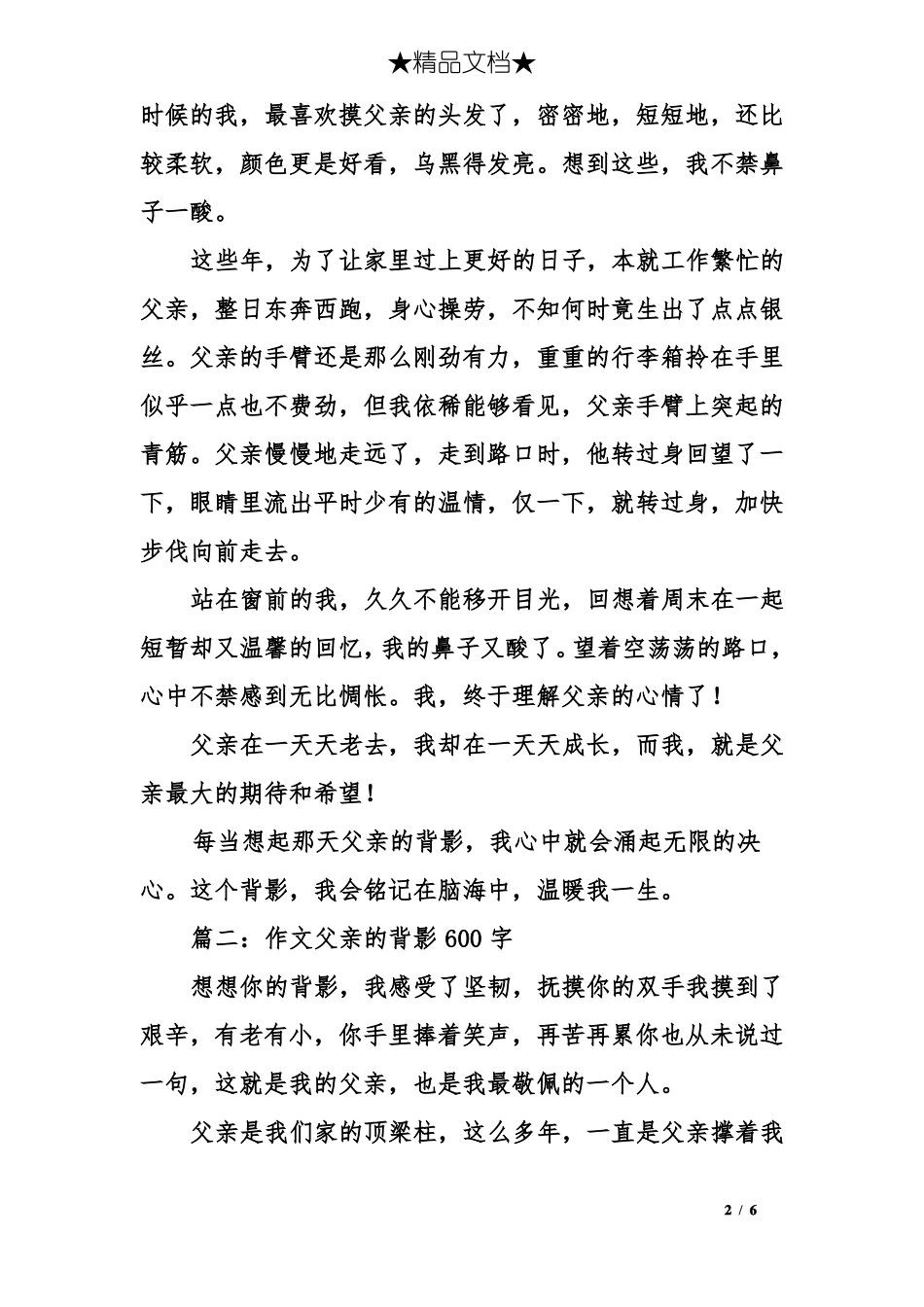 作文父亲的背影600字_第2页