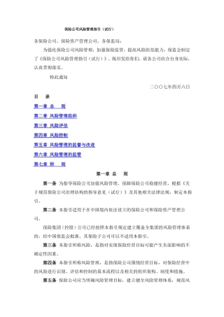 保险公司风险管理指引