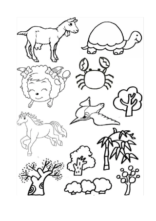 儿童12岁涂色简笔画