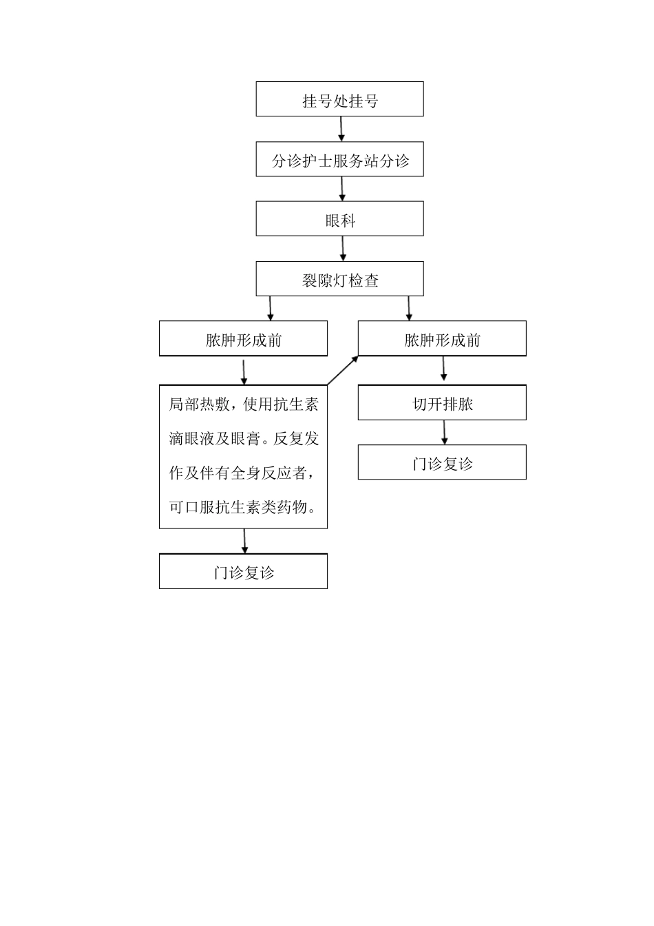 儿童眼部常见疾病诊疗常规_第2页