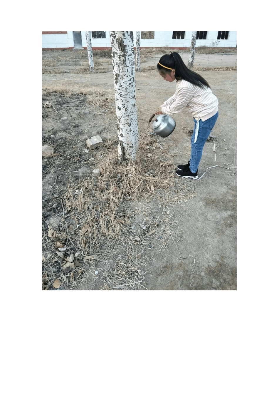 先锋小学12爱绿、护绿活动简报_第2页