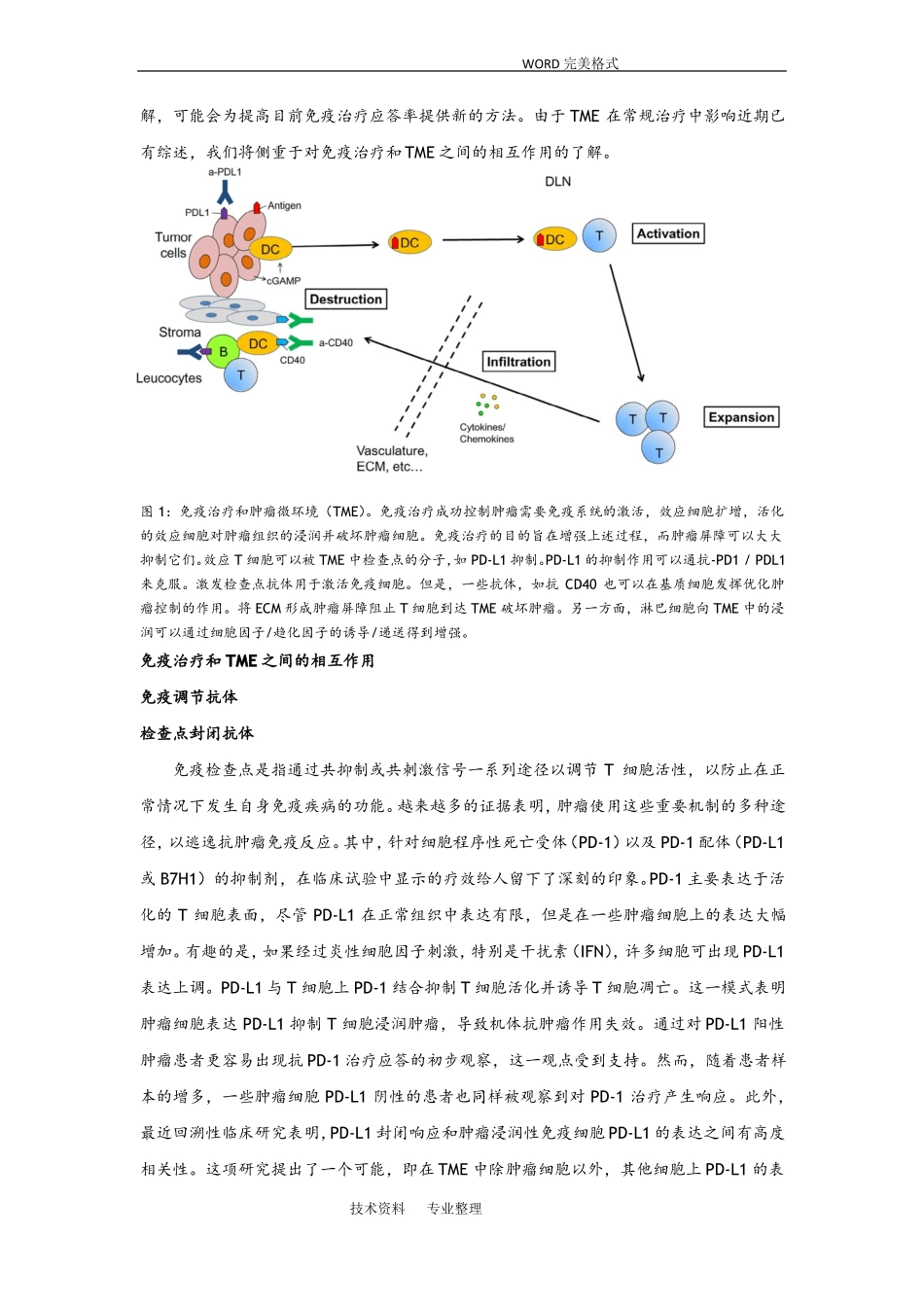 免疫治疗及肿瘤微环境_第2页