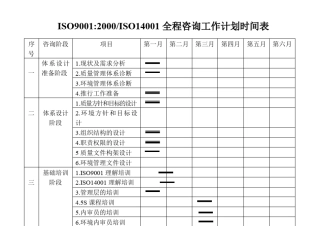 全程咨询工作计划时间表