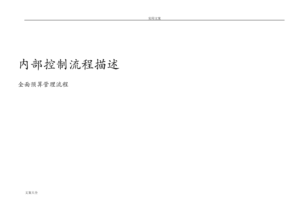 全面预算管理系统流程_第1页