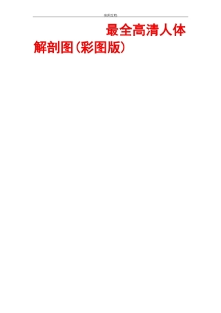 全面高清人体解剖图彩图版