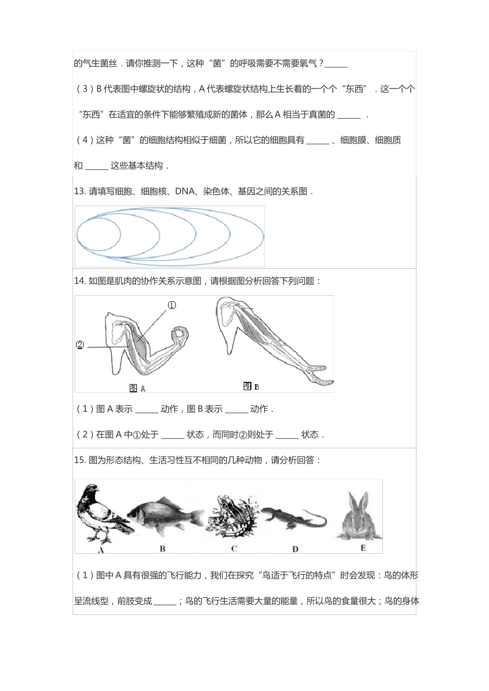 八年级生物上册识图题_第3页
