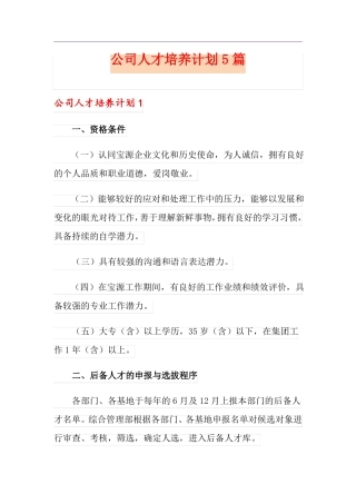 公司人才培养计划5篇