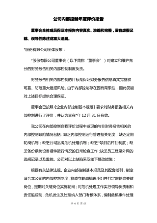 公司内部控制年评价报告