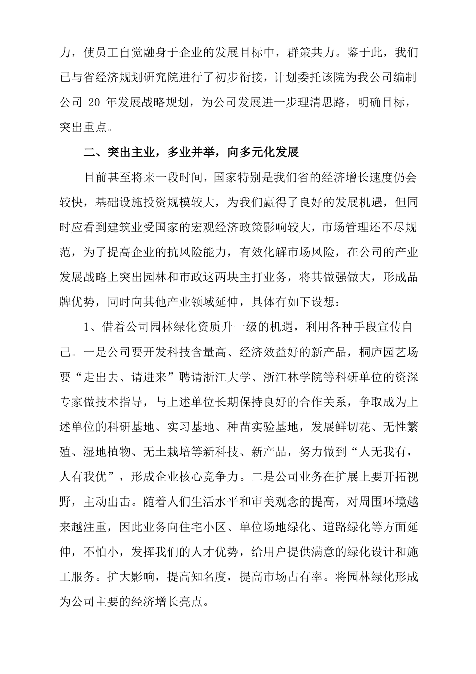 公司发展战略规划新_第2页