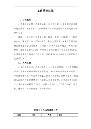 公司工作情况汇报