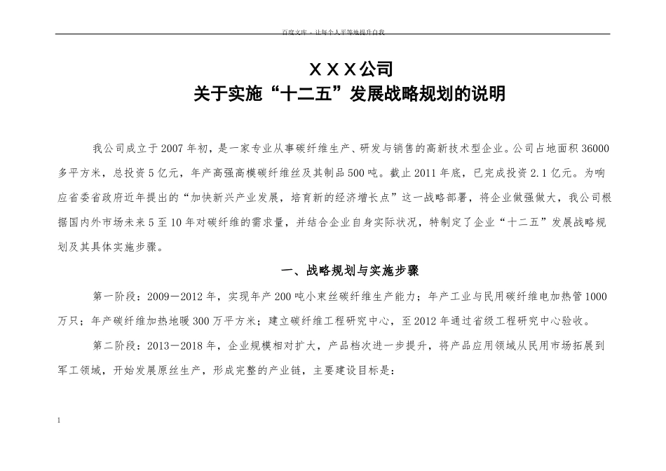 公司战略规划与业务计划_第1页
