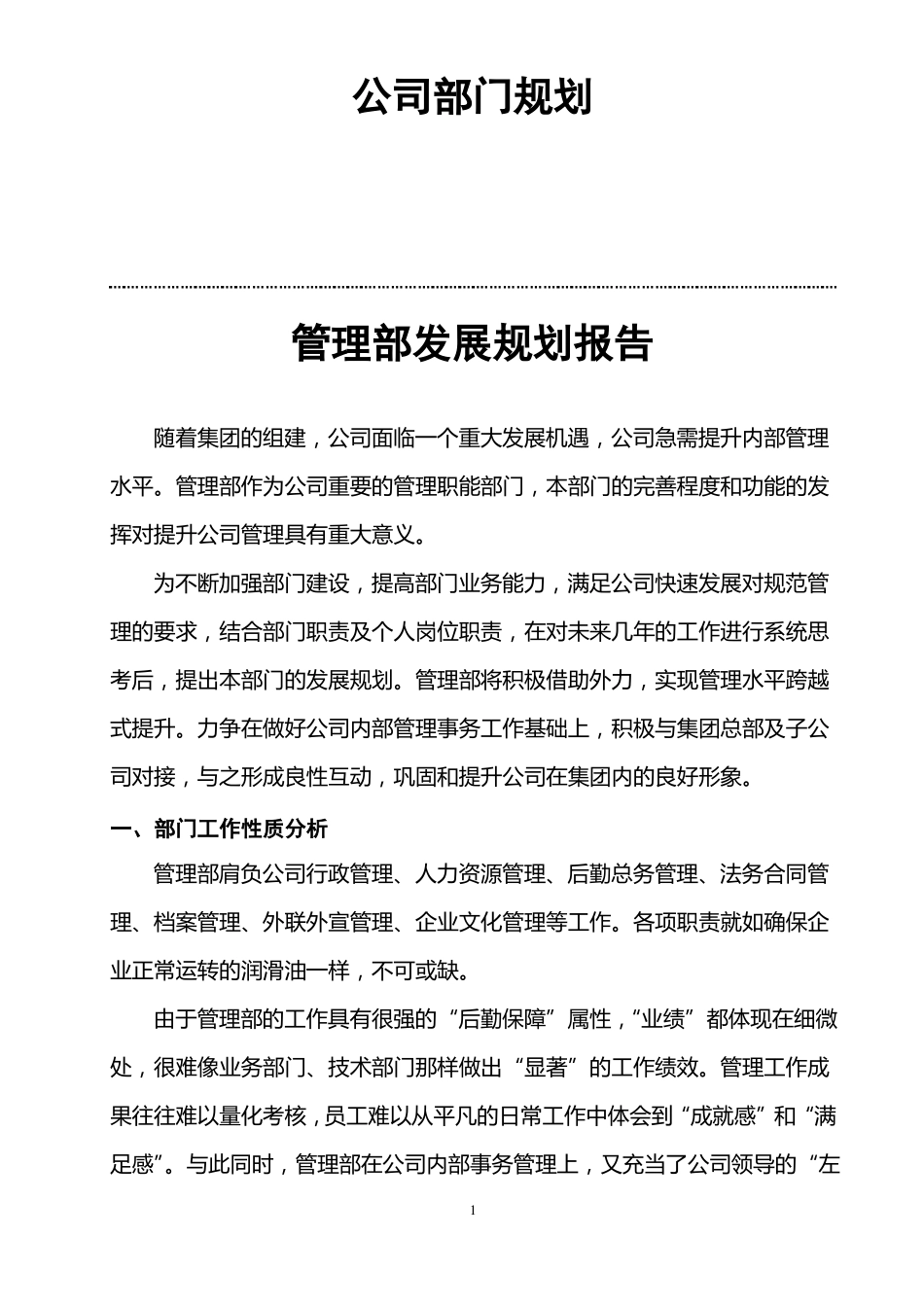 公司管理部发展规划报告_第1页