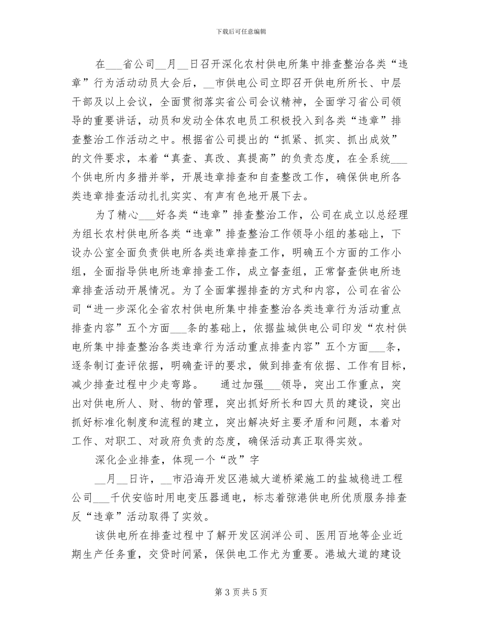 2024年农村供电所书记工作总结_第3页