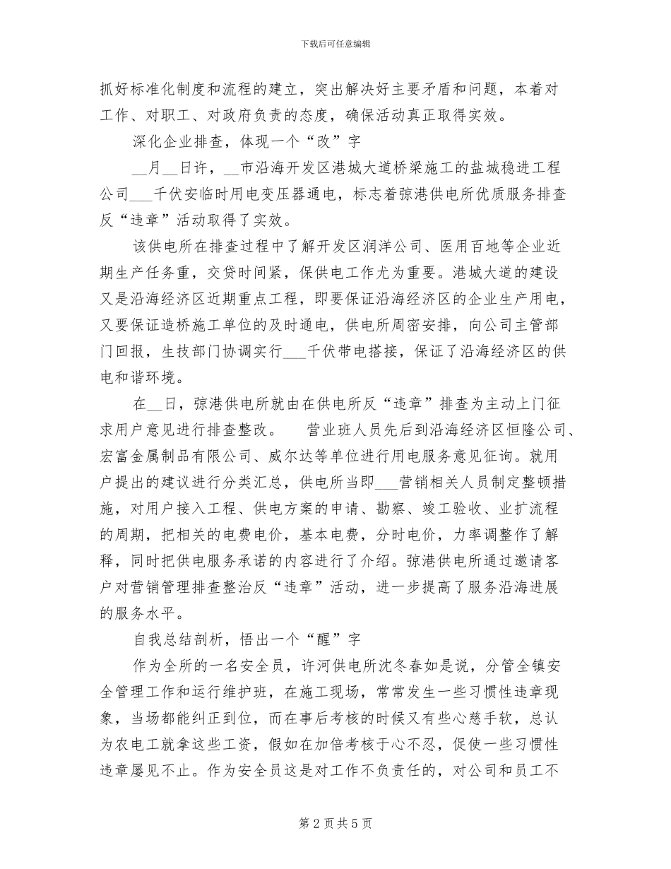 2024年农村供电所集中排查整治各类违章行为总结_第2页