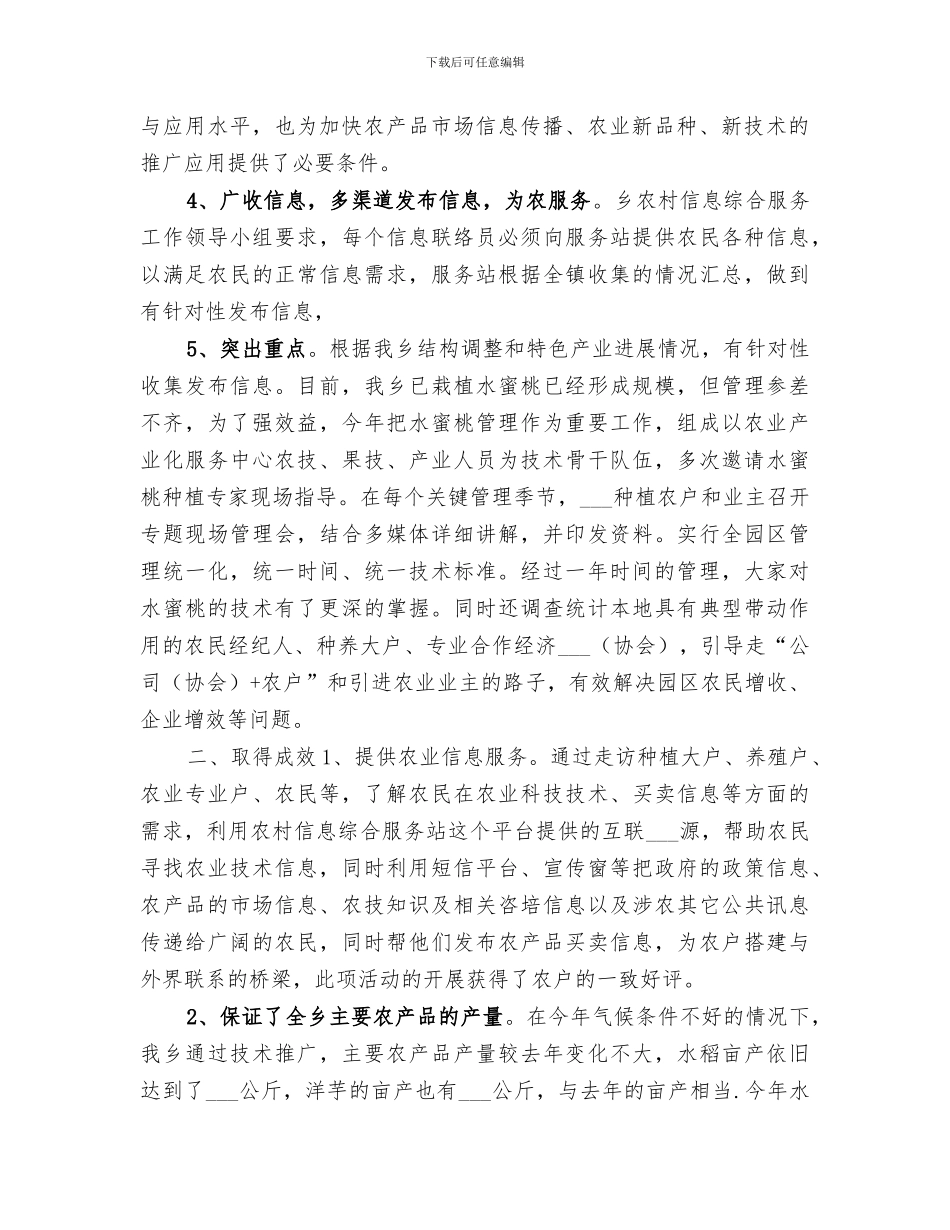 2024年农村信息综合服务站工作总结_第2页