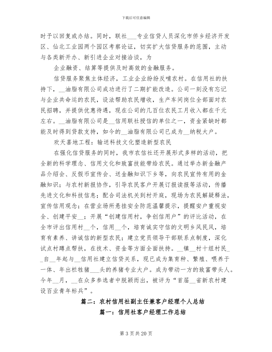2024年农村信用合作社副主任年终工作总结_第3页