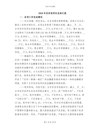 2024年农村信用社总结汇报