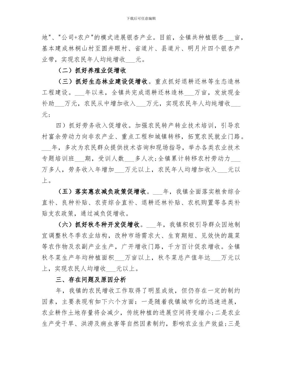 2024年农村农民增收工作总结_第2页