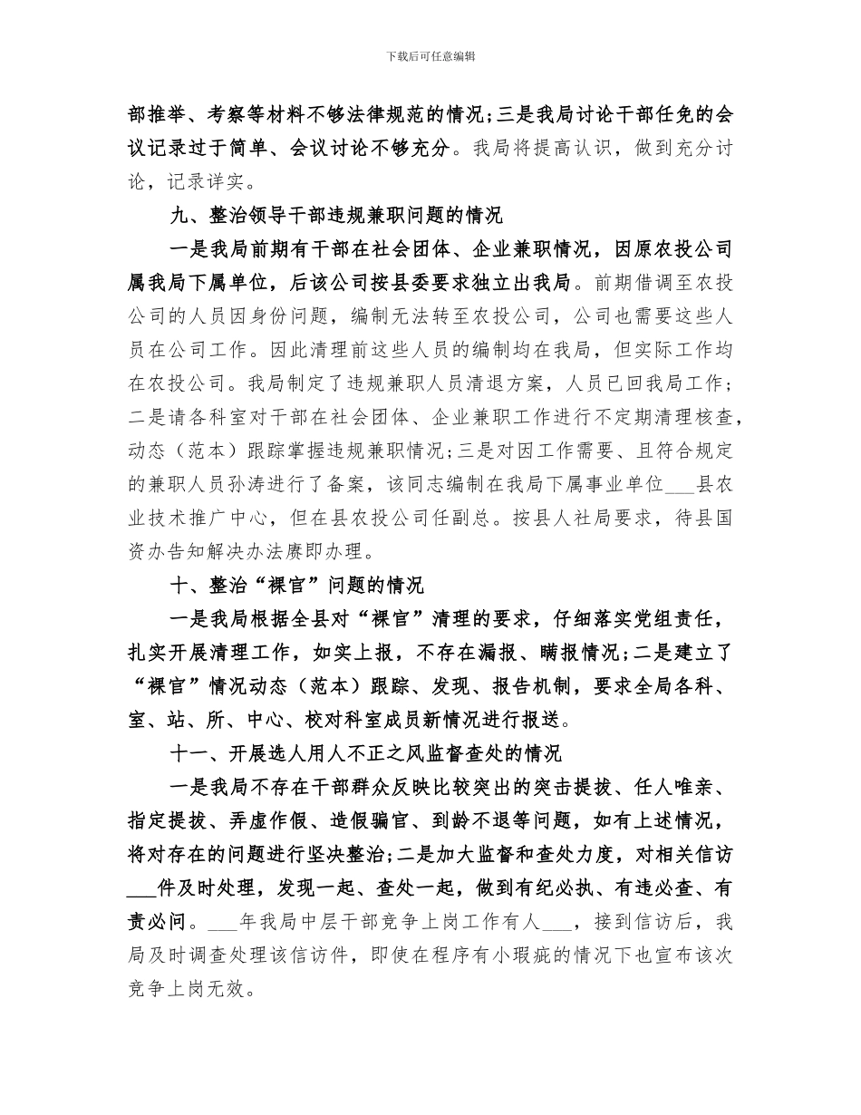 2024年农村发展局选人用人专项整治工作总结_第3页