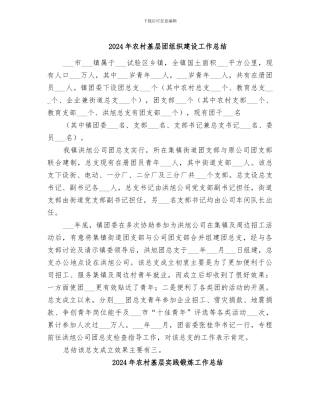 2024年农村基层团组织建设工作总结