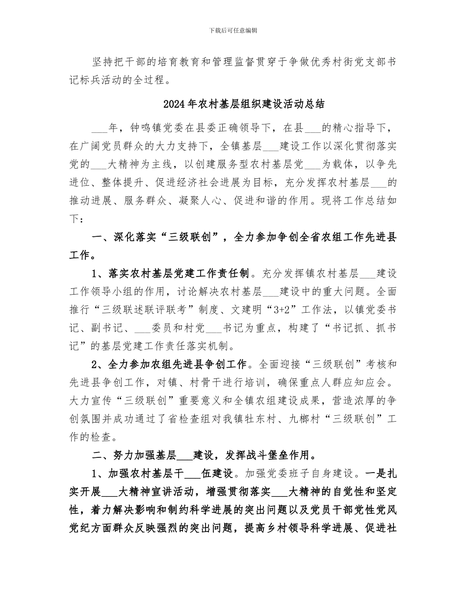 2024年农村基层组织建设年度工作总结_第3页