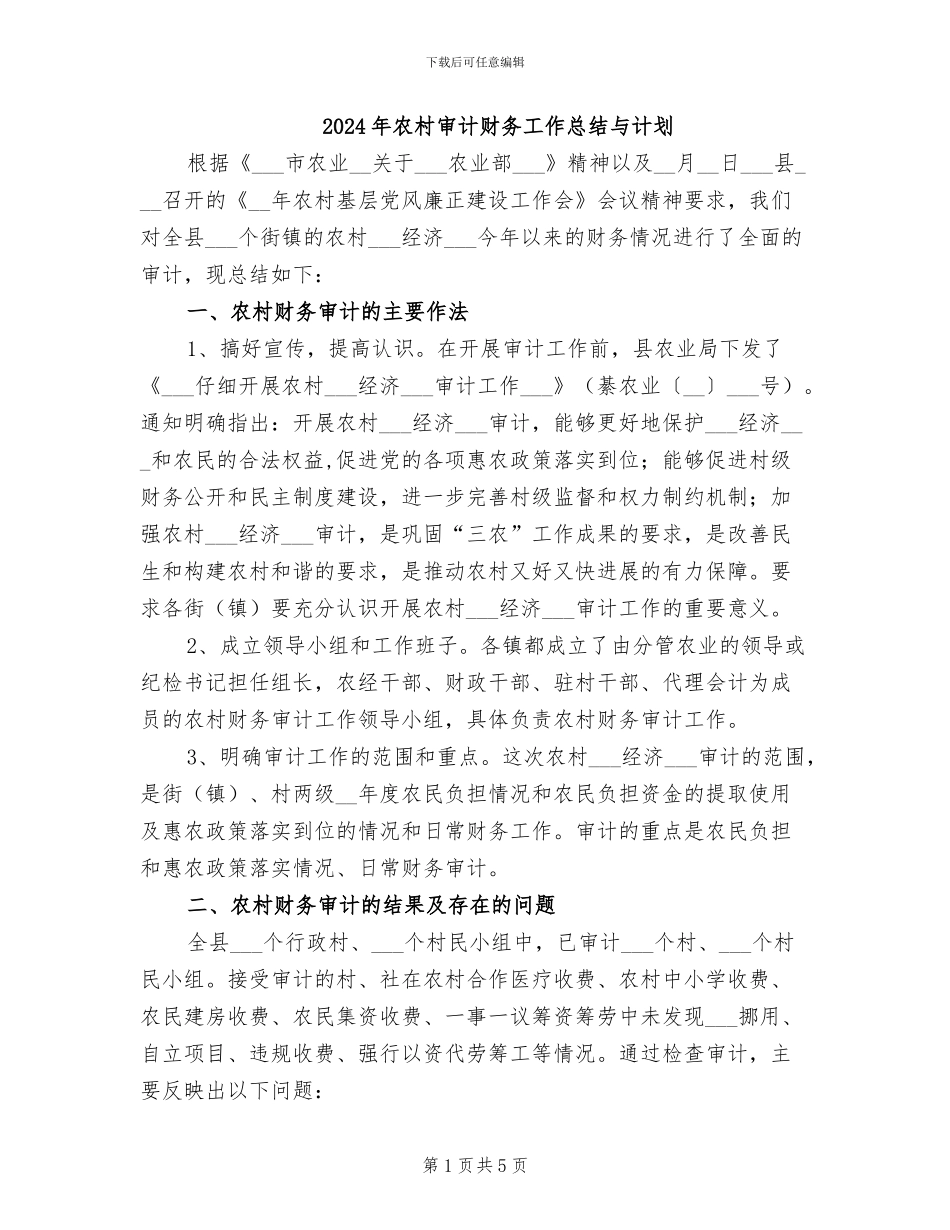 2024年农村审计财务工作总结与计划_第1页