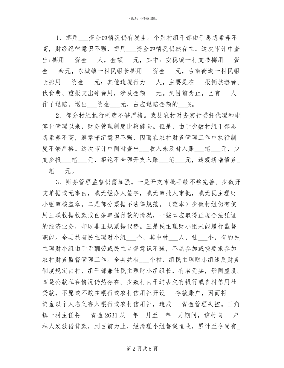 2024年农村审计财务工作总结与计划_第2页