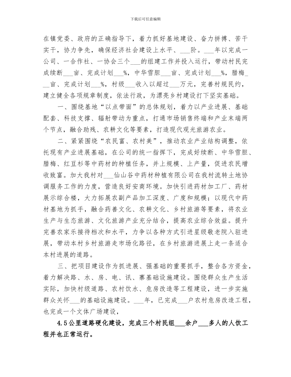 2024年农村年度重点工作总结范文_第3页