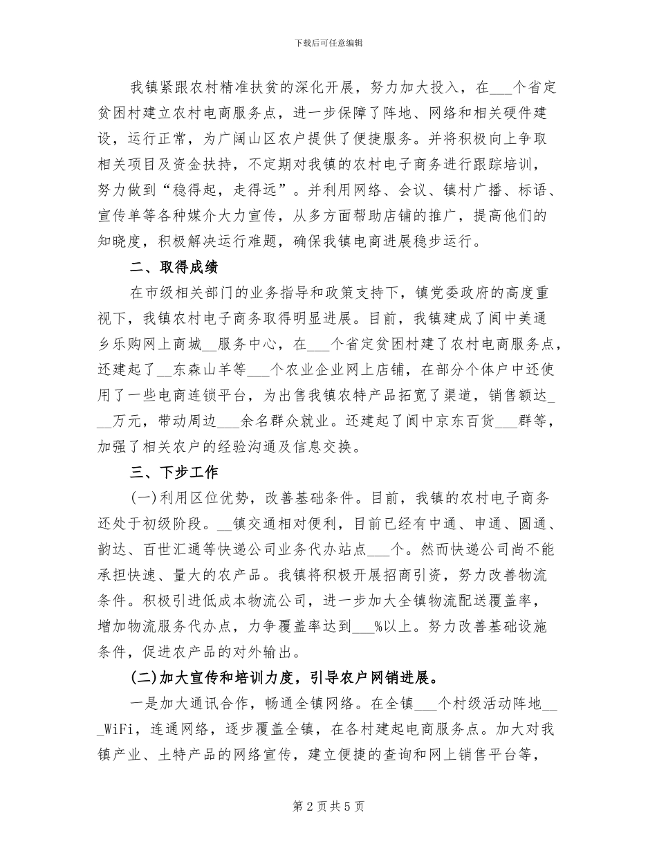 2024年农村电子商务发展的工作总结_第2页