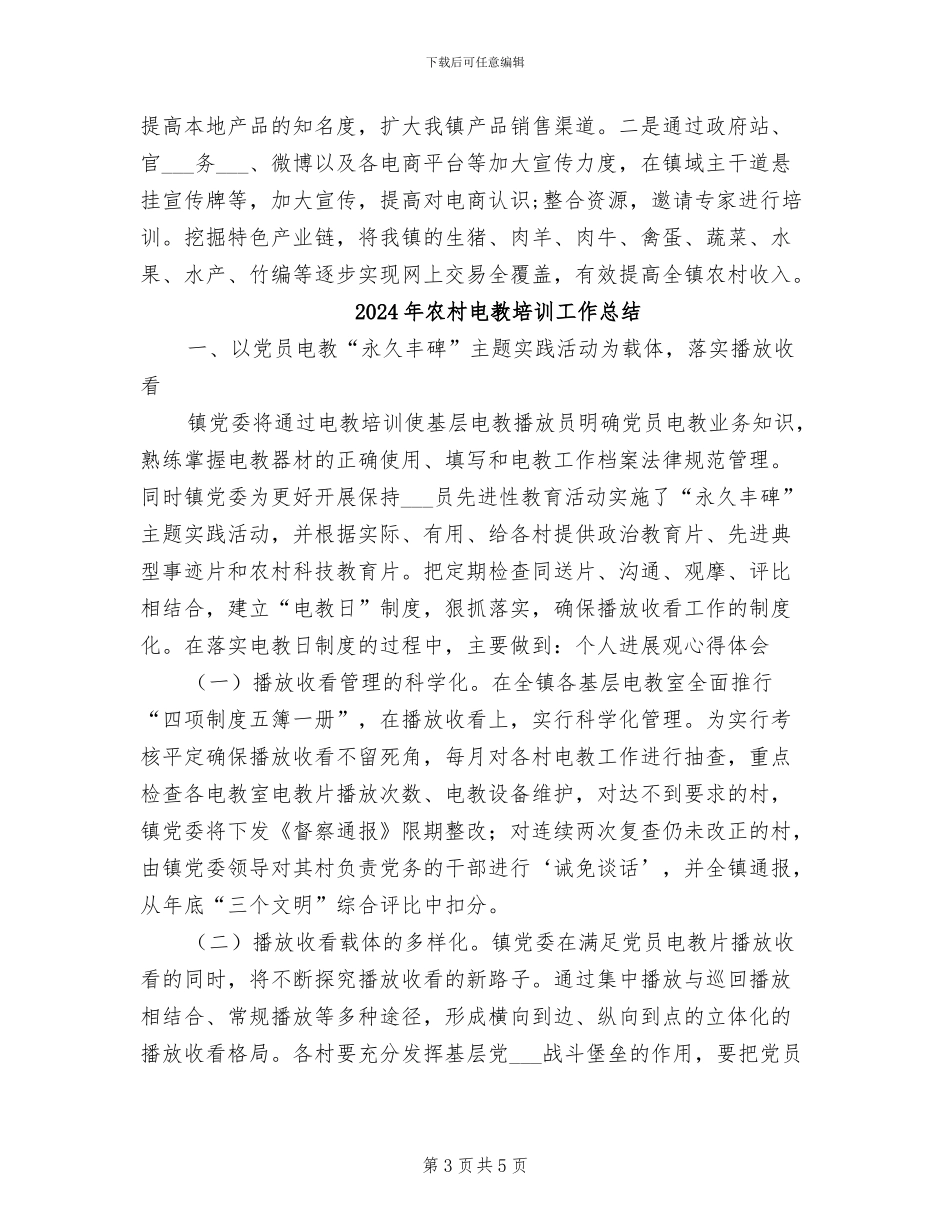 2024年农村电子商务发展的工作总结_第3页