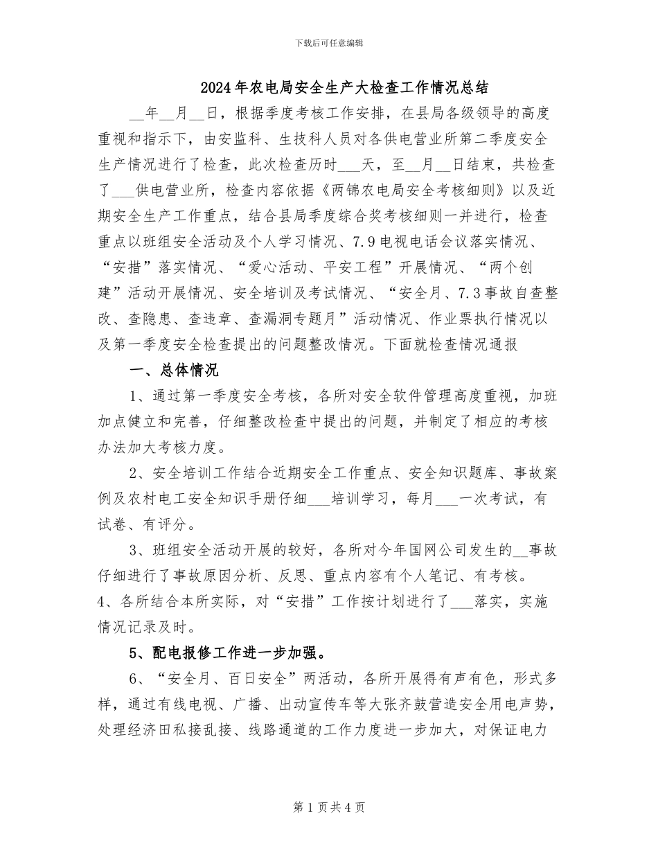 2024年农电局安全生产大检查工作情况总结_第1页