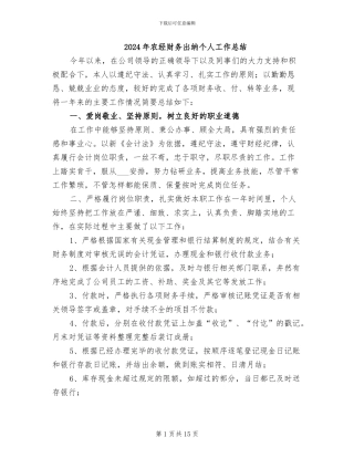 2024年农经财务出纳个人工作总结