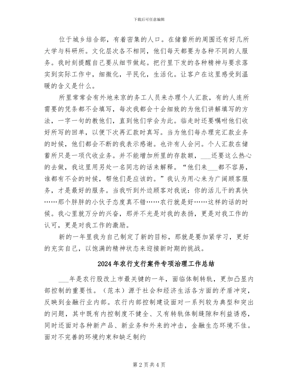 2024年农行年终个人工作总结_第2页