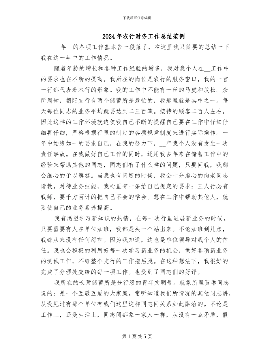 2024年农行财务工作总结范例_第1页