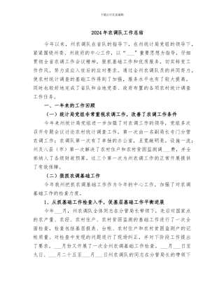 2024年农调队工作总结