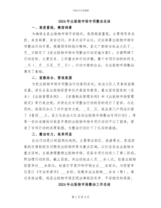 2024年出版物市场专项整治总结
