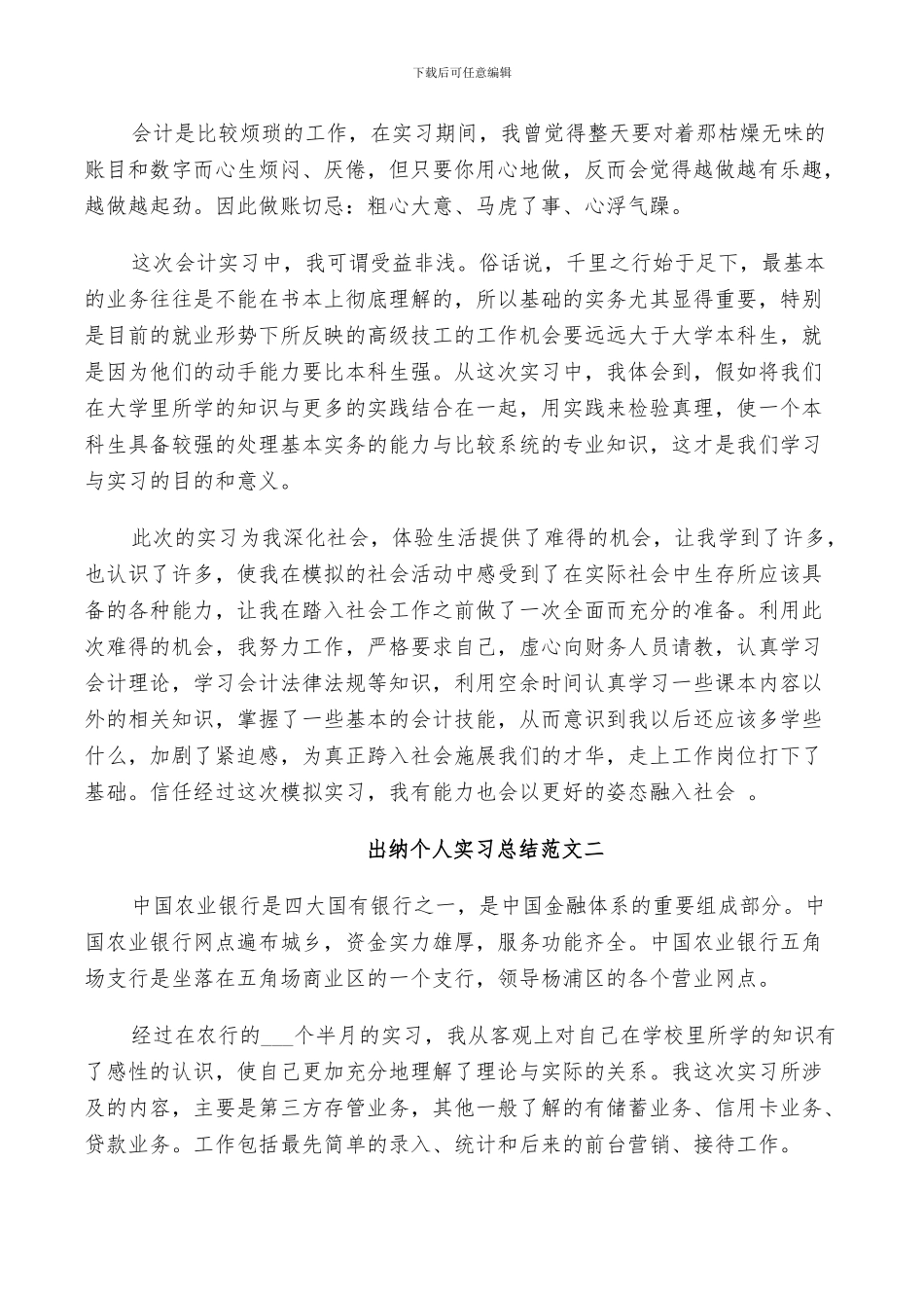 2024年出纳个人实习总结范文_第2页