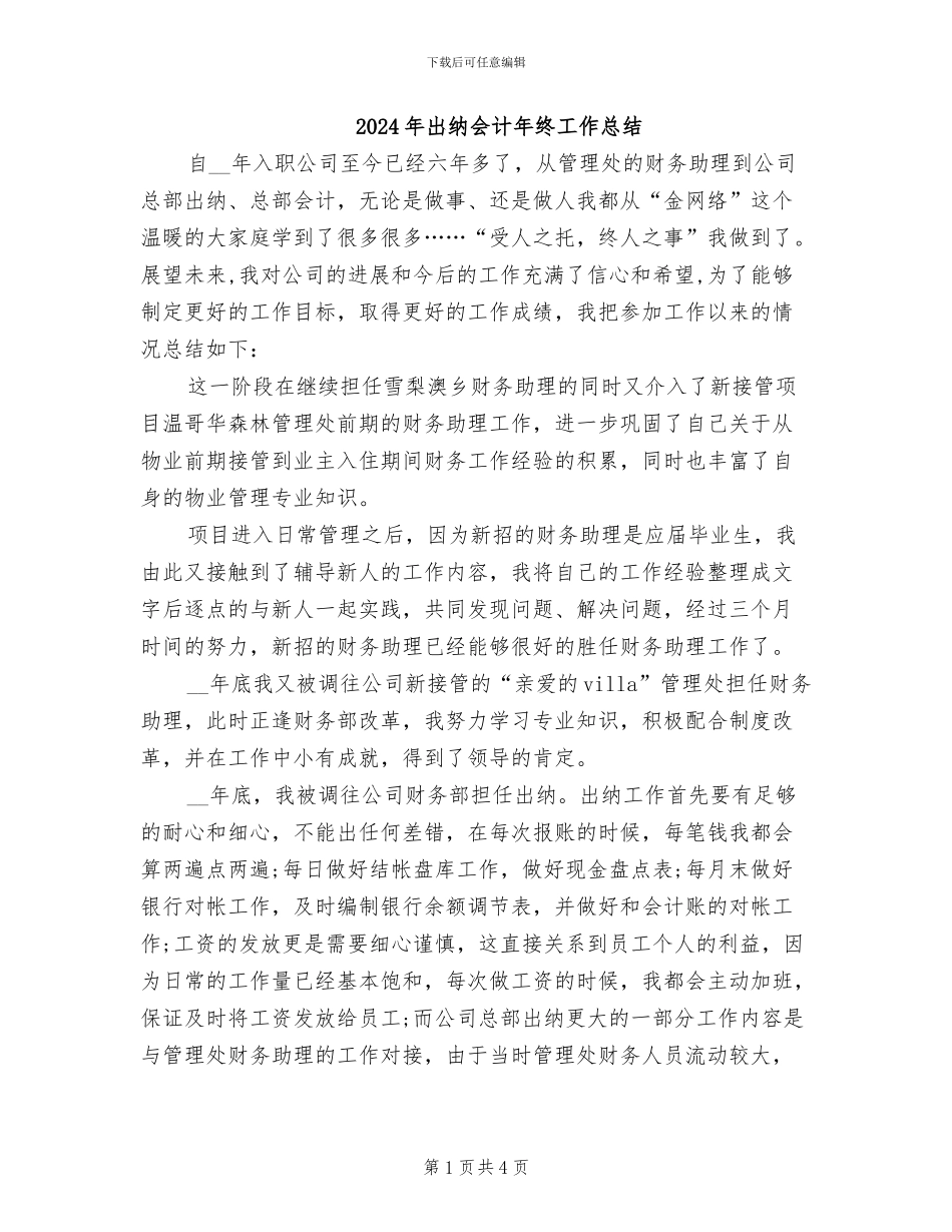 2024年出纳会计年终工作总结_第1页