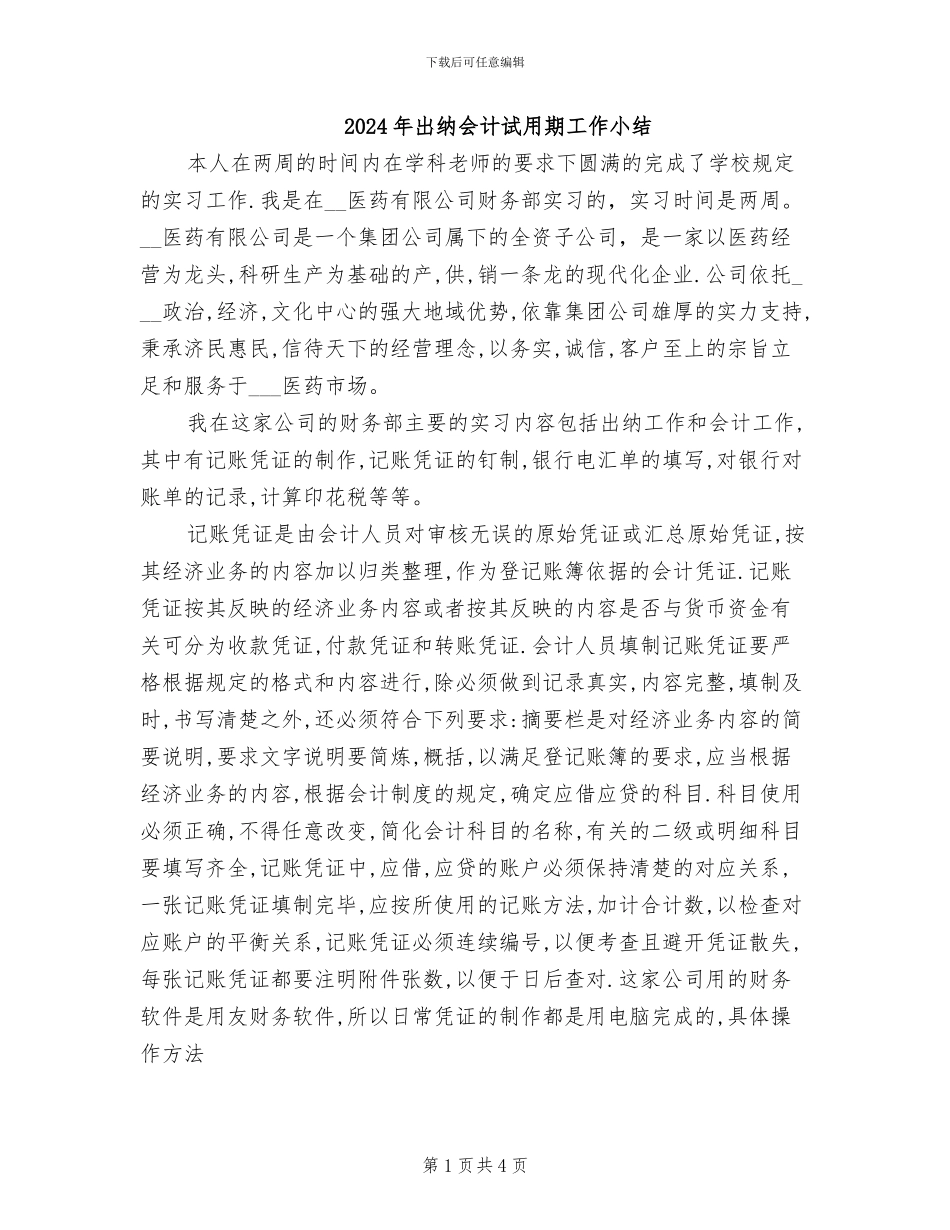 2024年出纳会计试用期工作小结_第1页