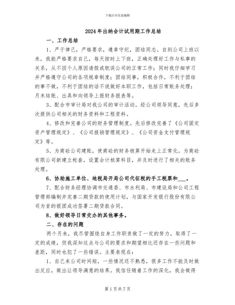 2024年出纳会计试用期工作总结_第1页