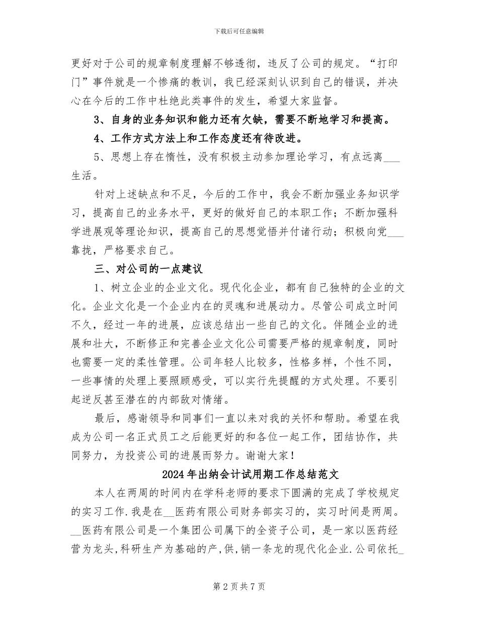 2024年出纳会计试用期工作总结_第2页