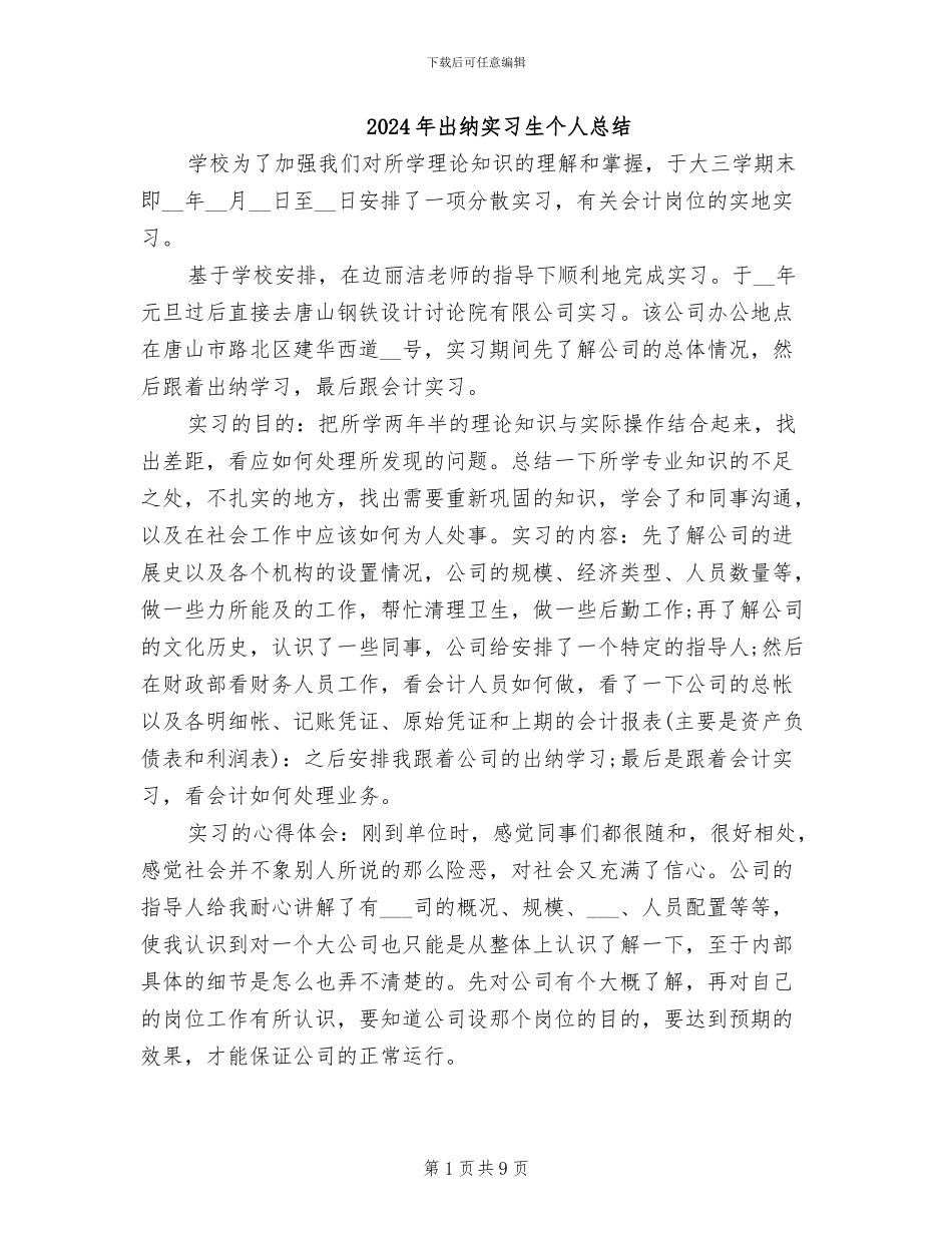 2024年出纳实习生个人总结_第1页