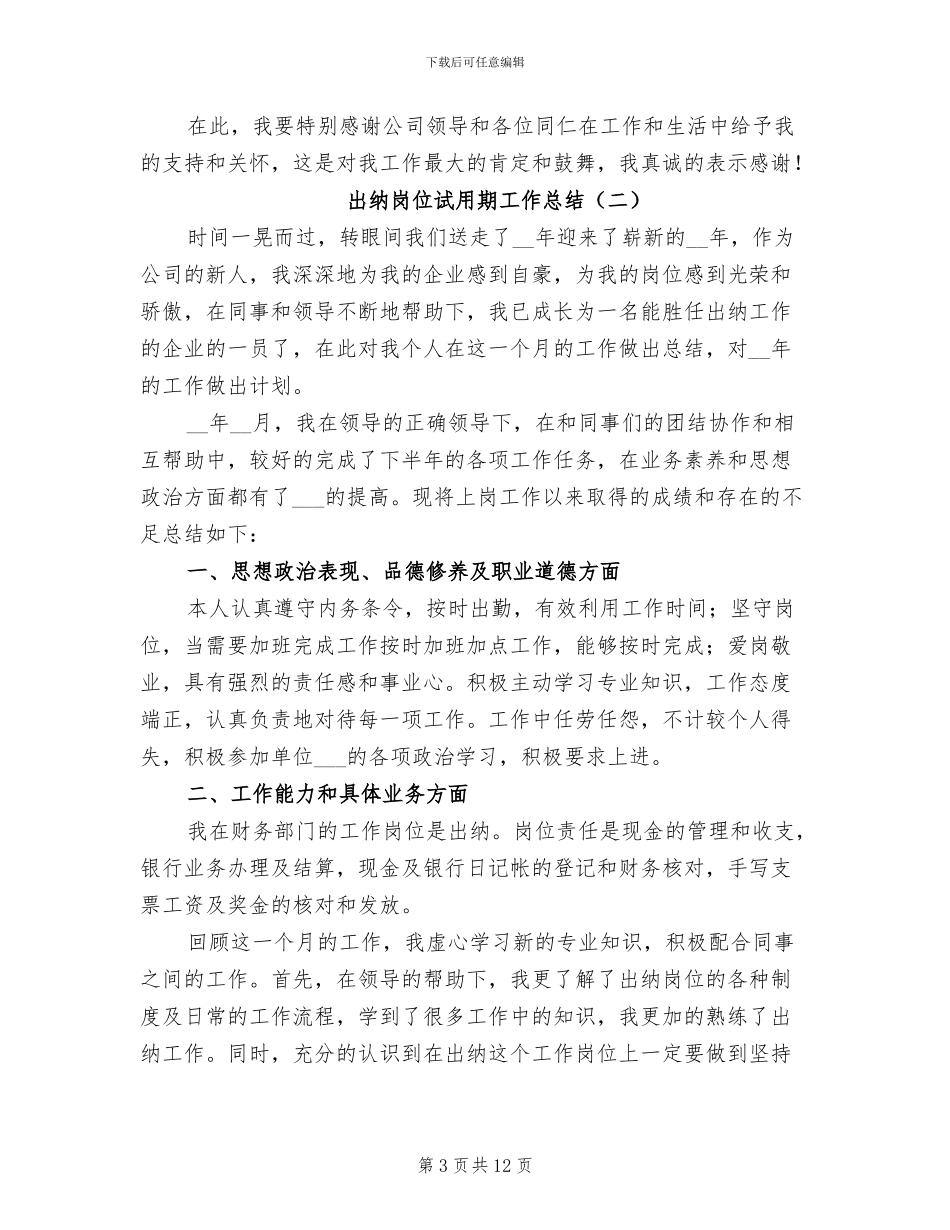 2024年出纳岗位试用期工作总结_第3页