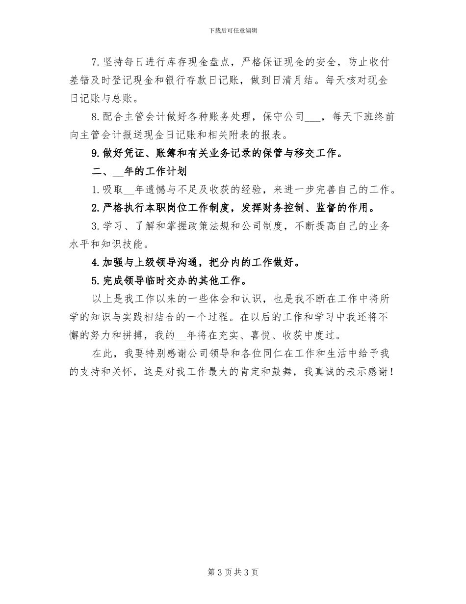 2024年出纳工作工作总结_第3页